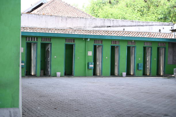 Best Affordable portable toilet rental  in Longview, WA